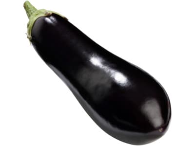 Hoogvliet Aubergine
