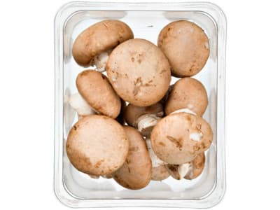 Hoogvliet Kastanjechampignons