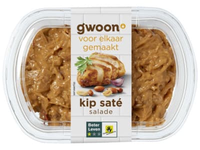 G'woon Kip-saté salade