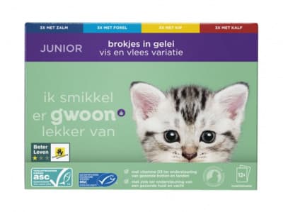 G'woon Junior kattenbrokjes in gelei