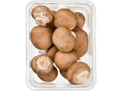 Hoogvliet Kastanjechampignons