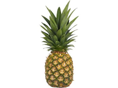 Hoogvliet Ananas