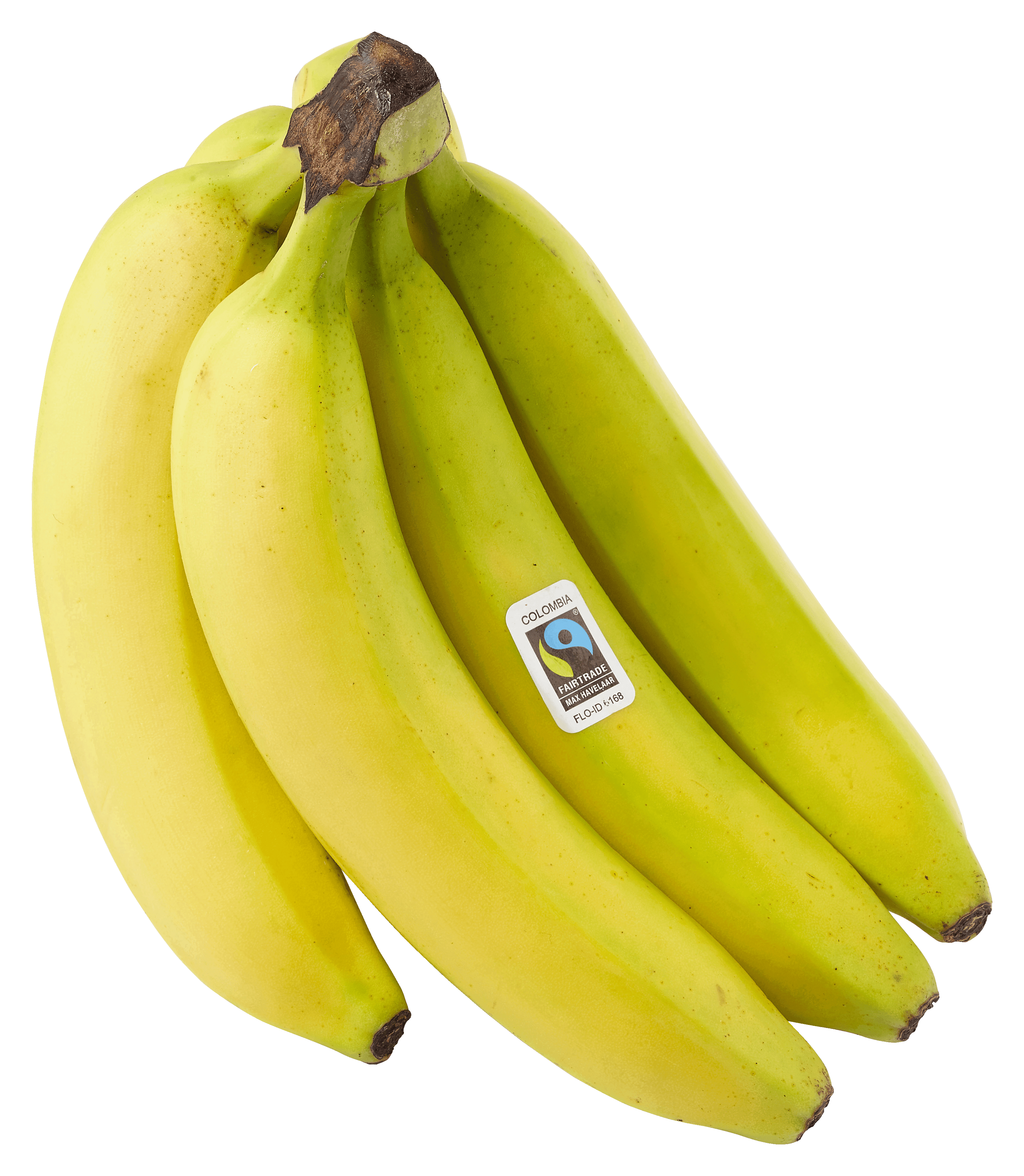 PLUS Bananen Fairtrade