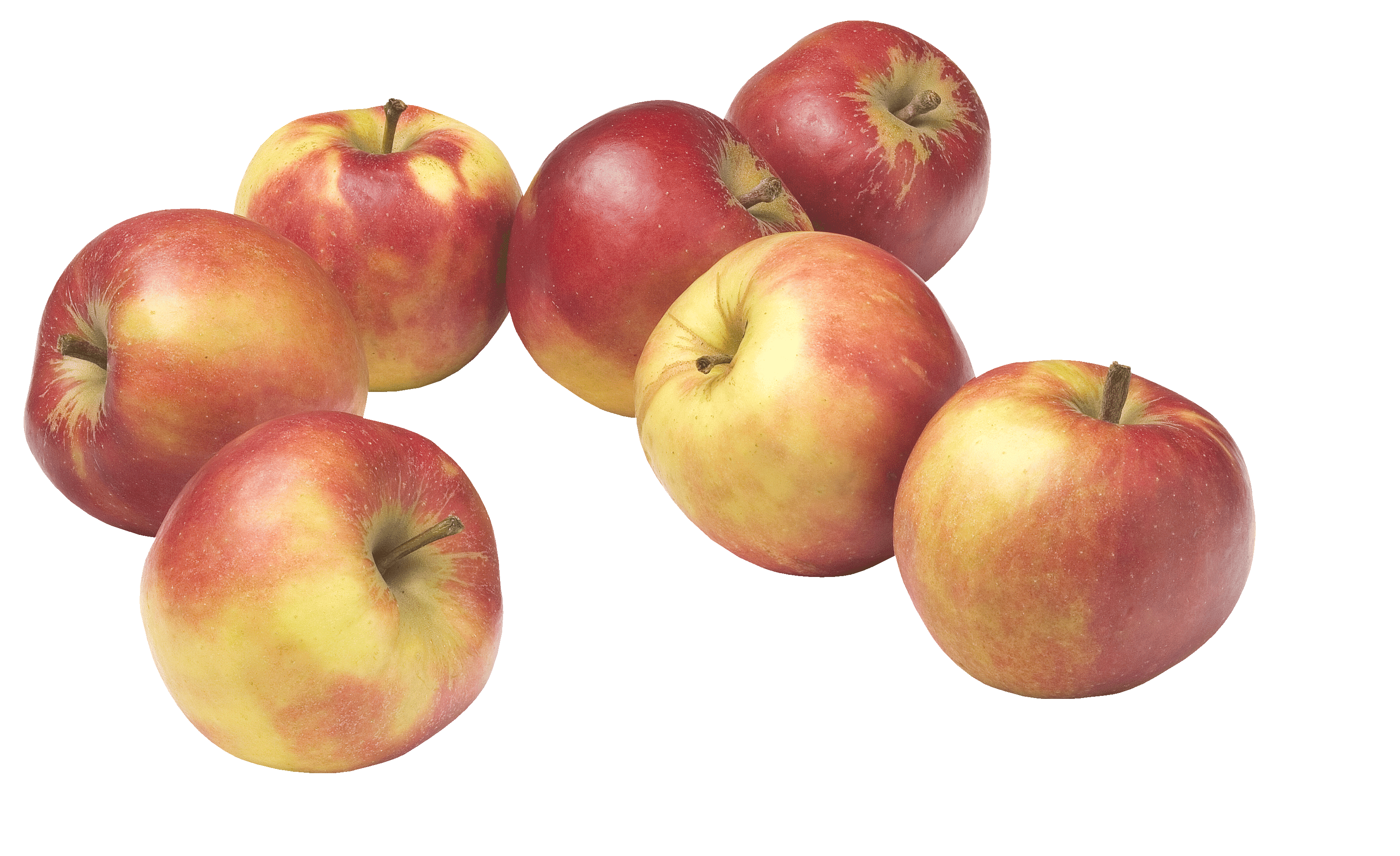 PLUS Handappels Elstar