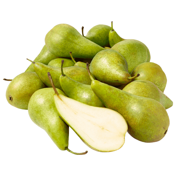 PLUS Conference Peren los