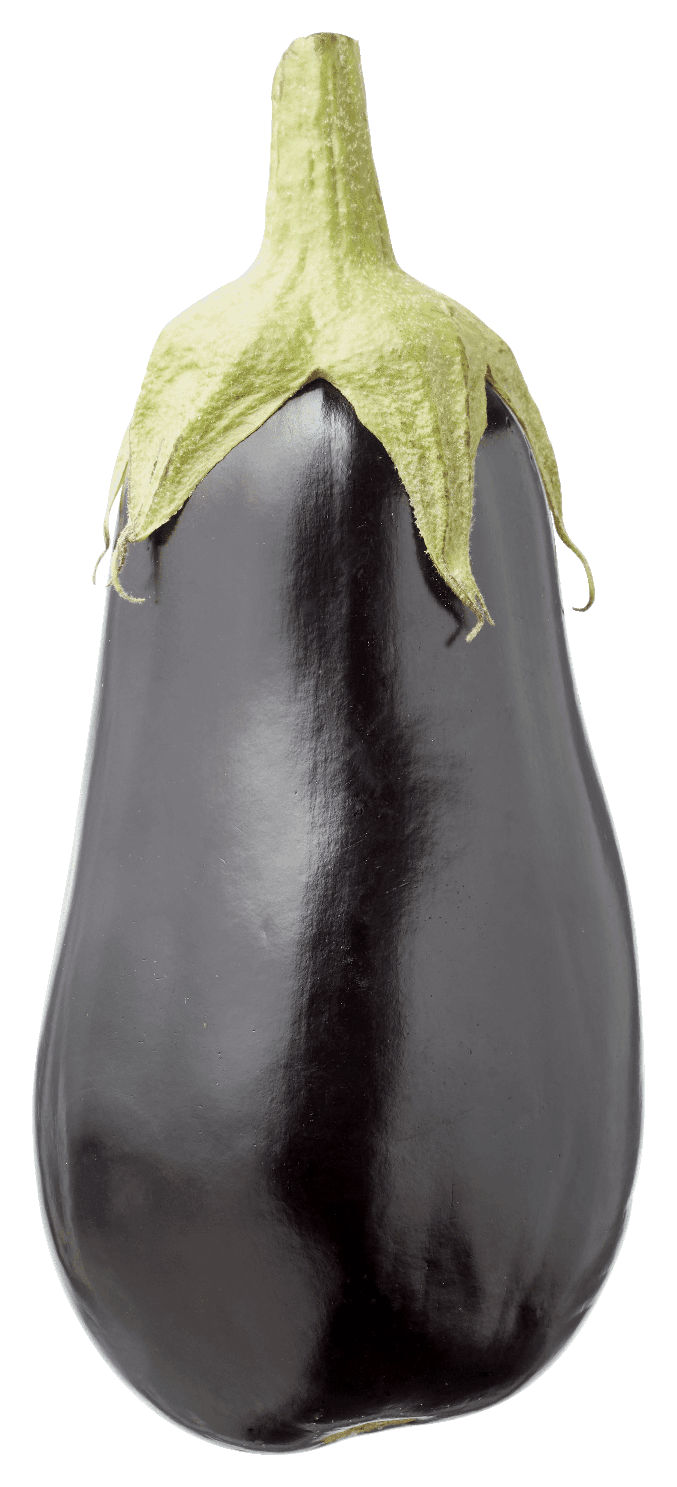 Biologisch PLUS Aubergine biologisch