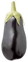 Biologisch PLUS Aubergine biologisch