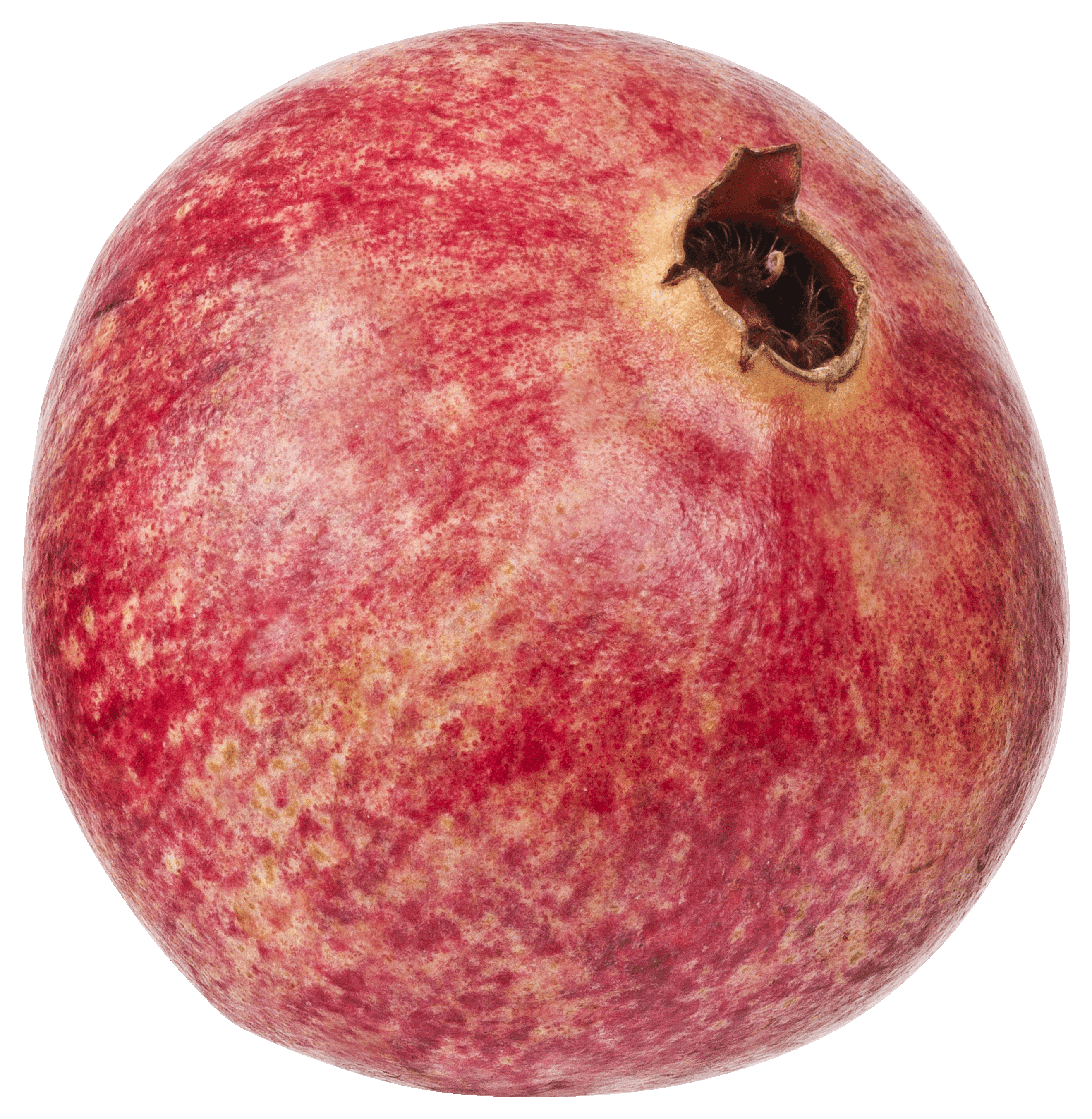 Neutraal Granaatappel