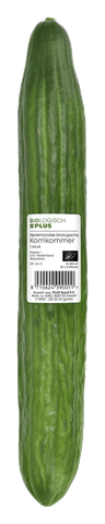 Biologisch PLUS Komkommer