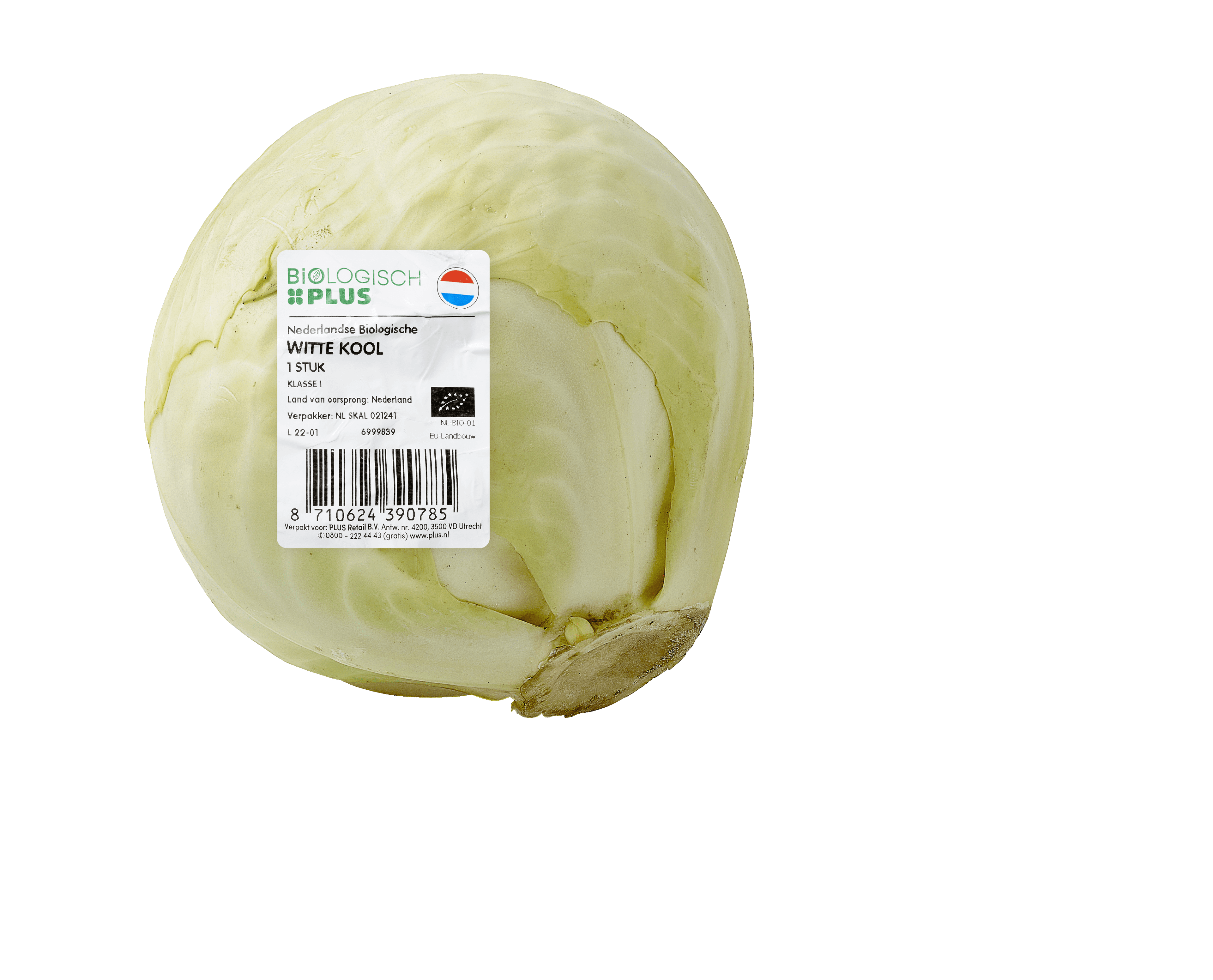 Biologisch PLUS Witte kool biologisch