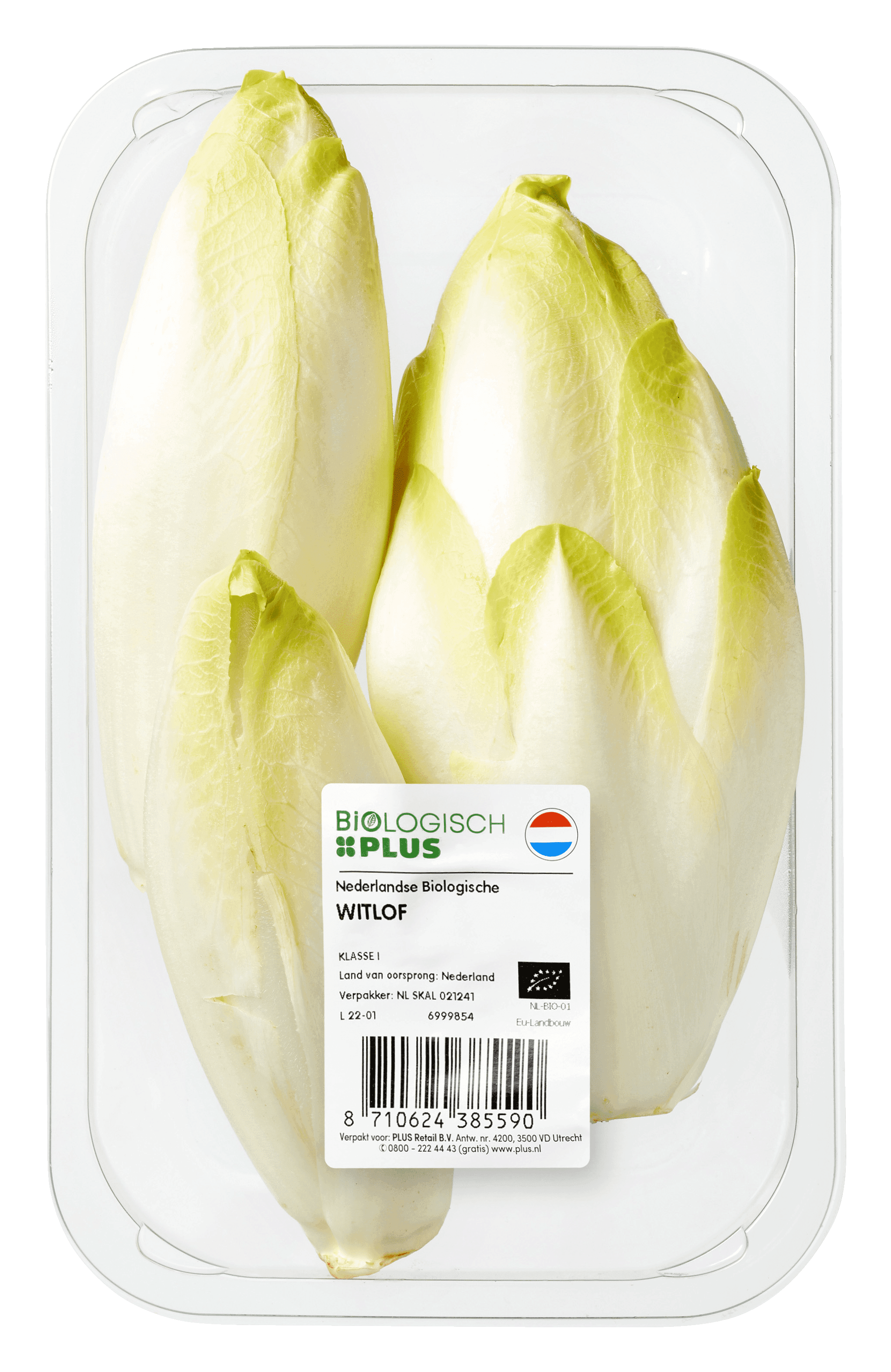 Biologisch PLUS Witlof