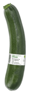 Biologisch PLUS Courgette groen