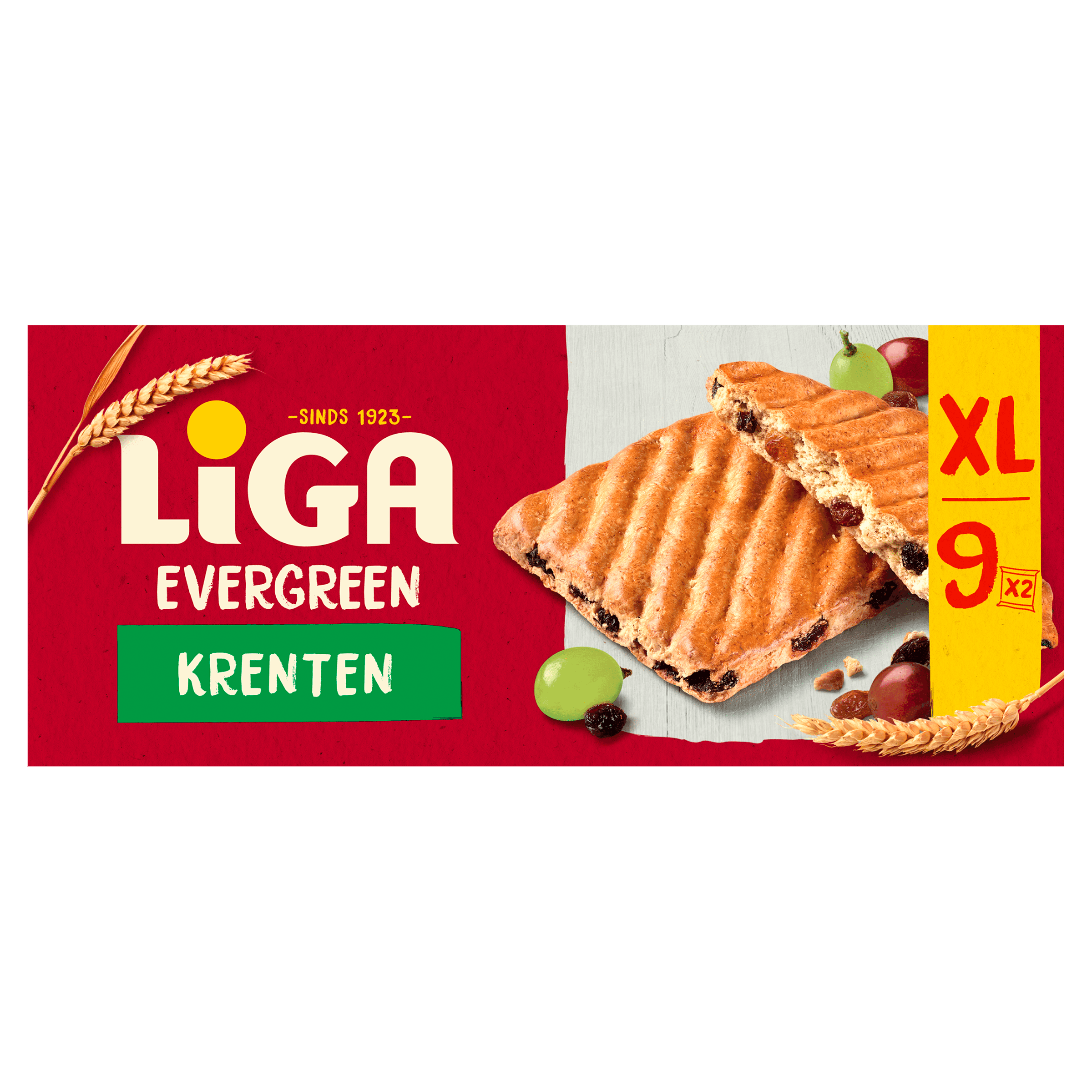 Liga Evergreen koekjes krenten XL