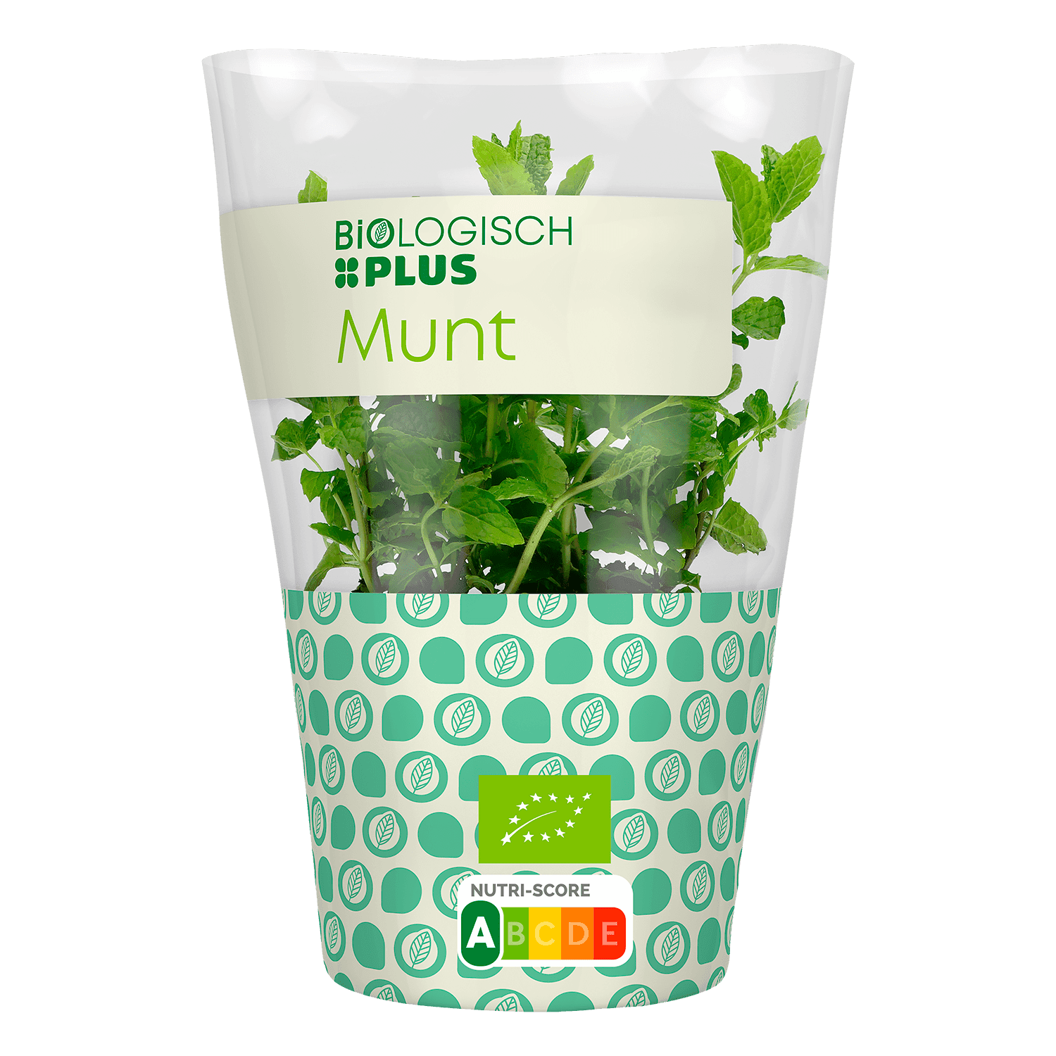 Biologisch PLUS Munt