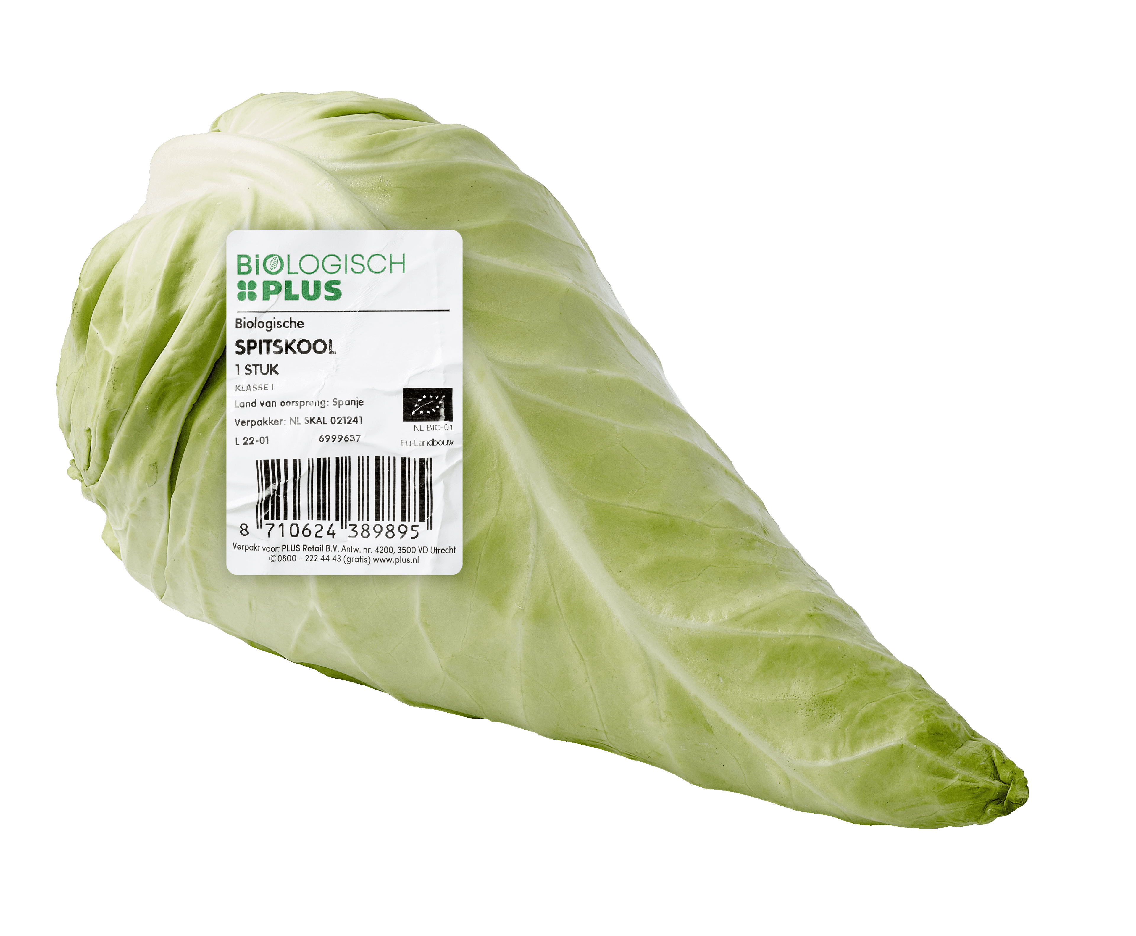 Biologisch PLUS Spitskool