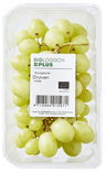 Biologisch PLUS Druiven wit biologisch