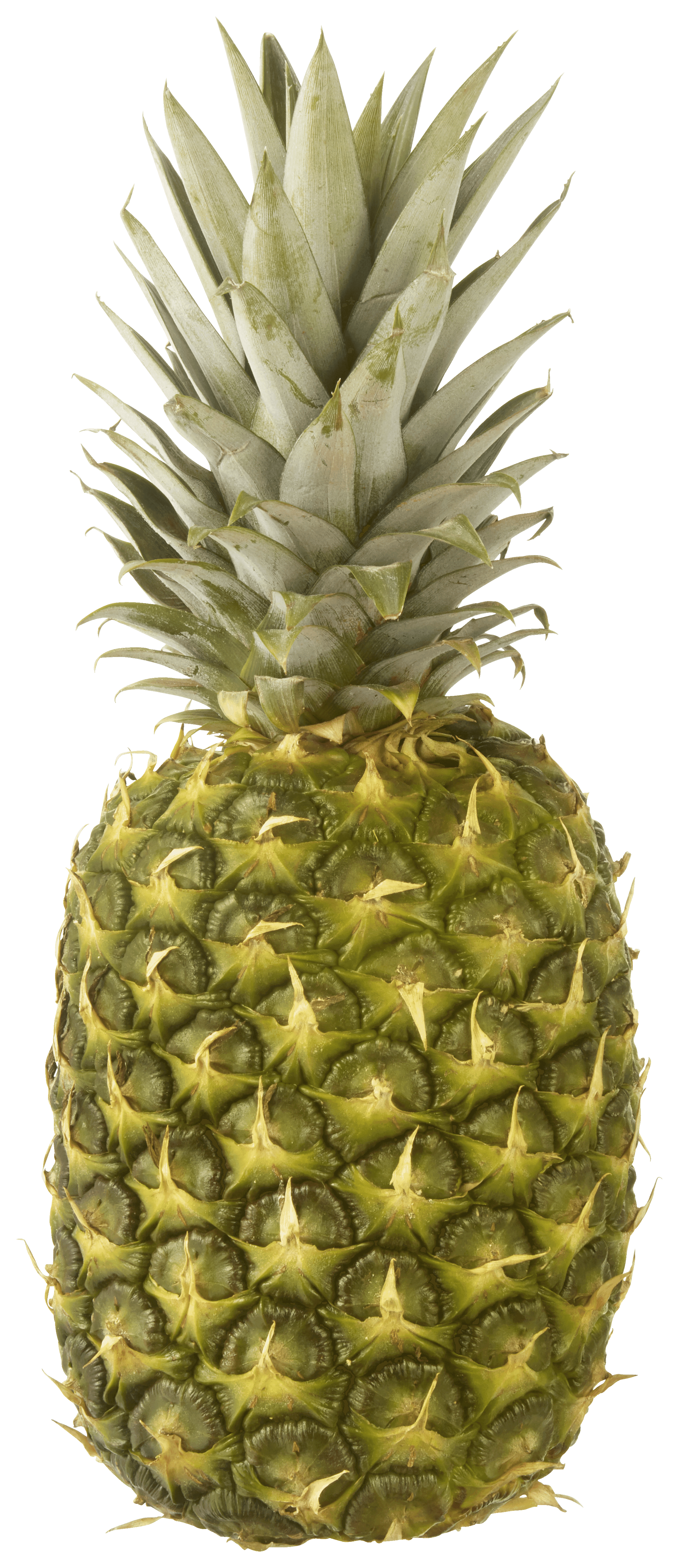 Neutraal Ananas