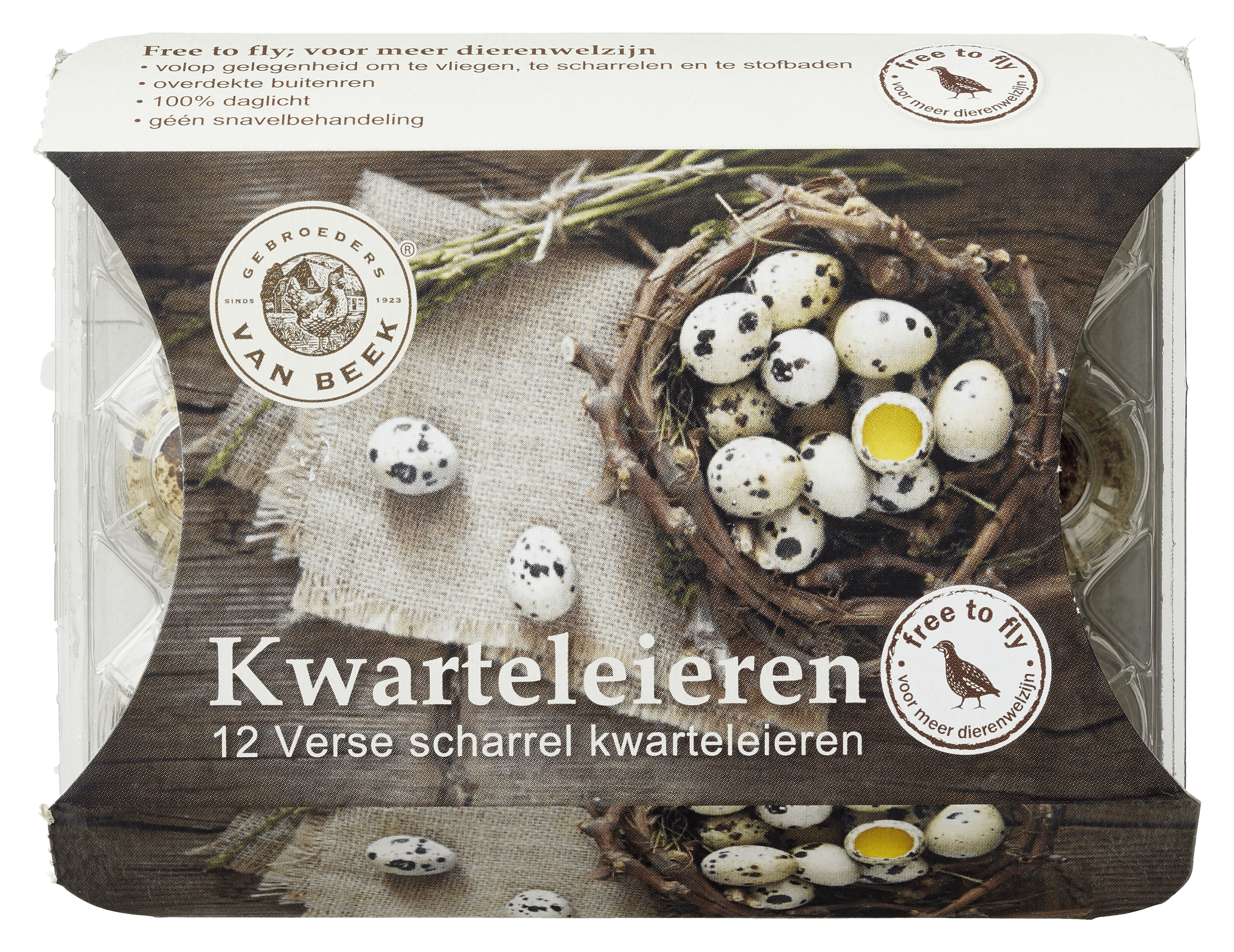 Van Beek Kwartel eieren