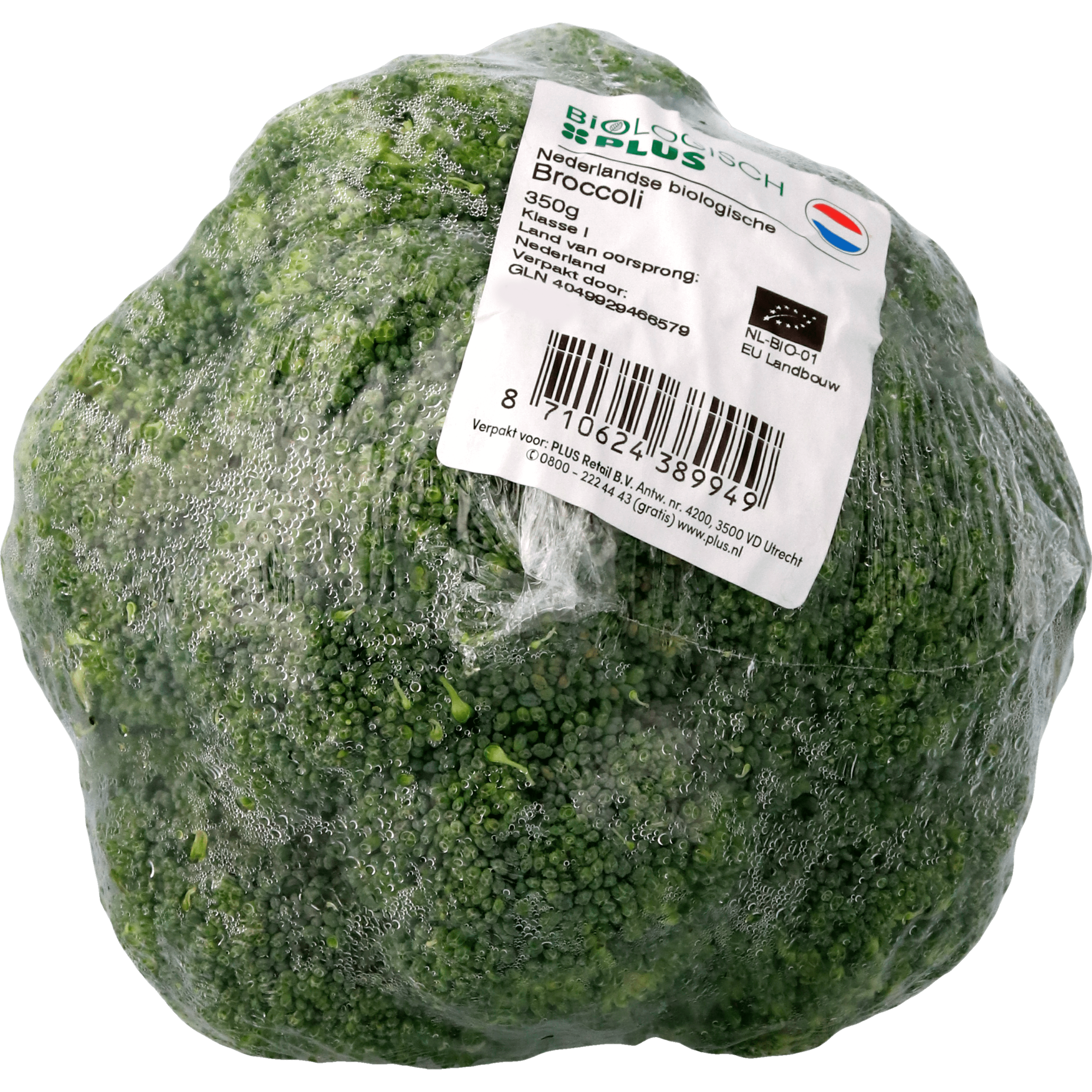 Biologisch PLUS Broccoli biologisch