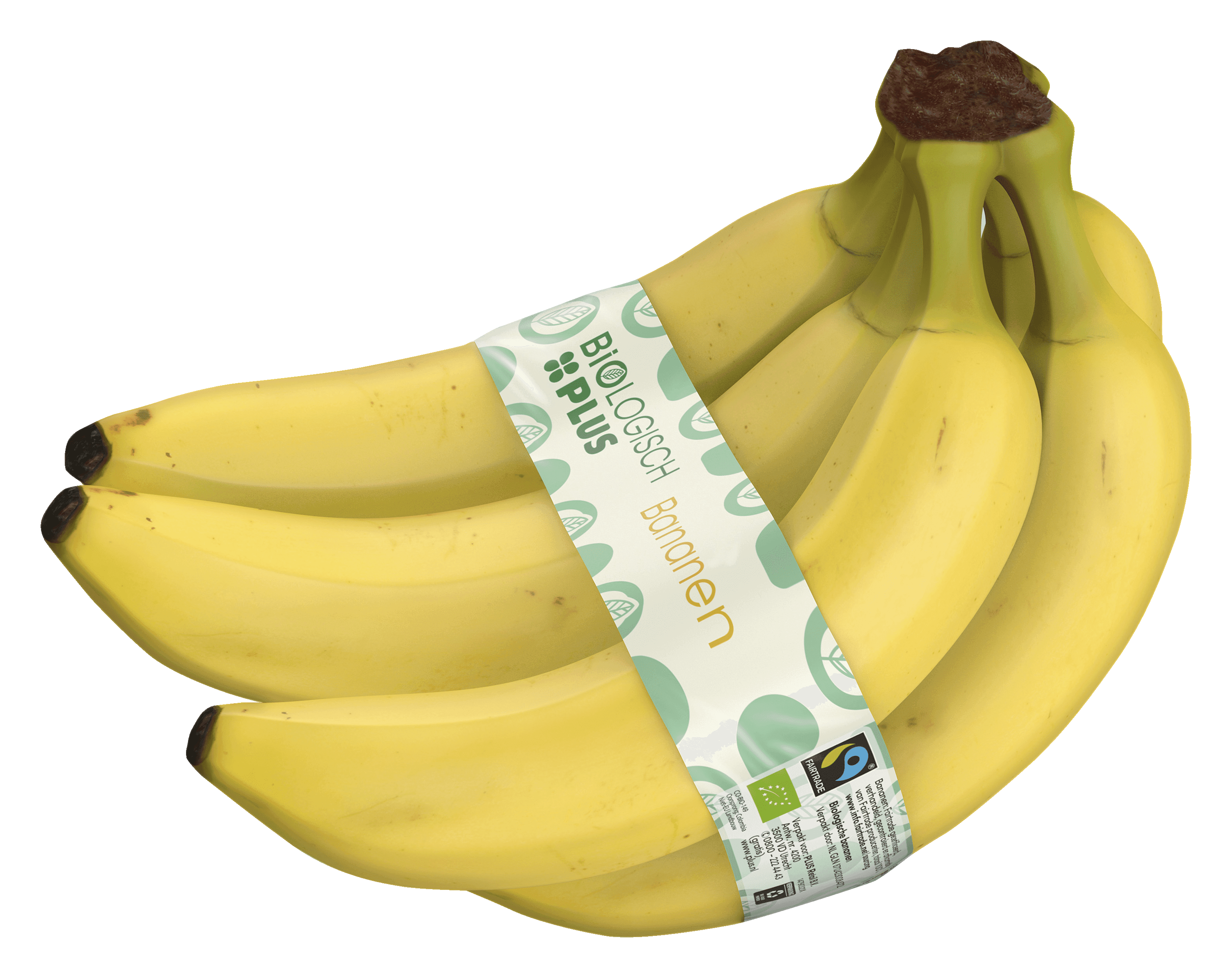 Biologisch PLUS Bananen biologisch Fairtrade