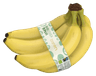 Biologisch PLUS Bananen biologisch Fairtrade