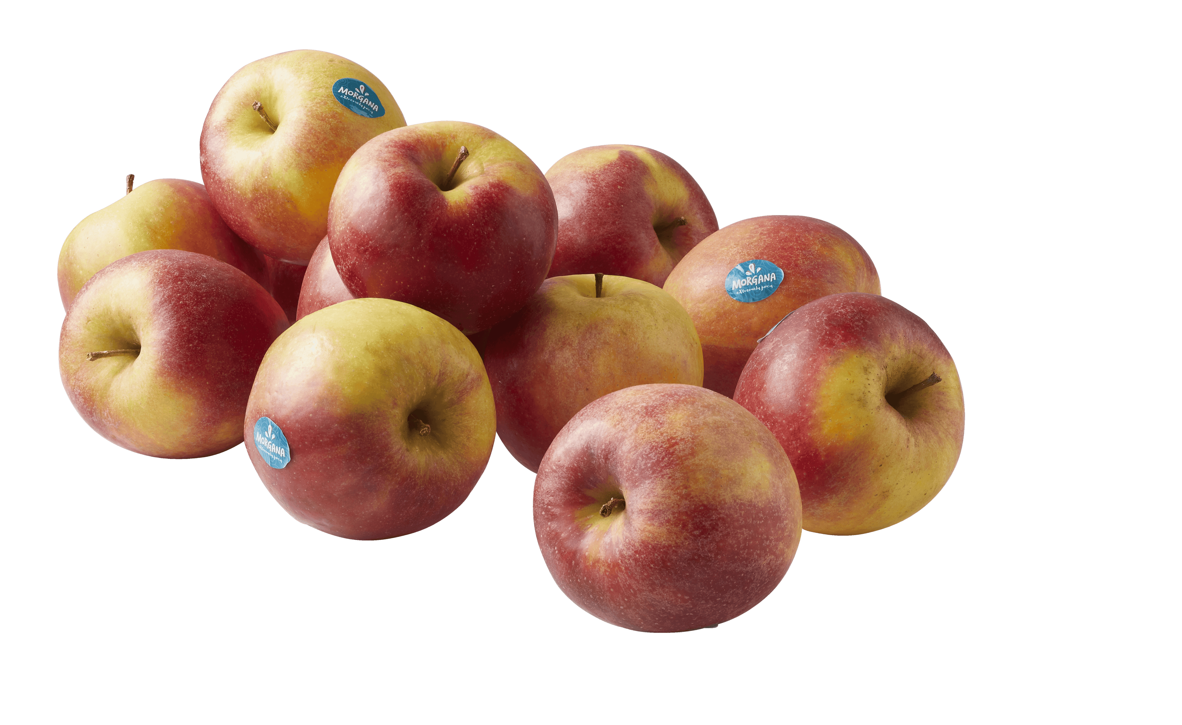 PLUS Appels Morgana los