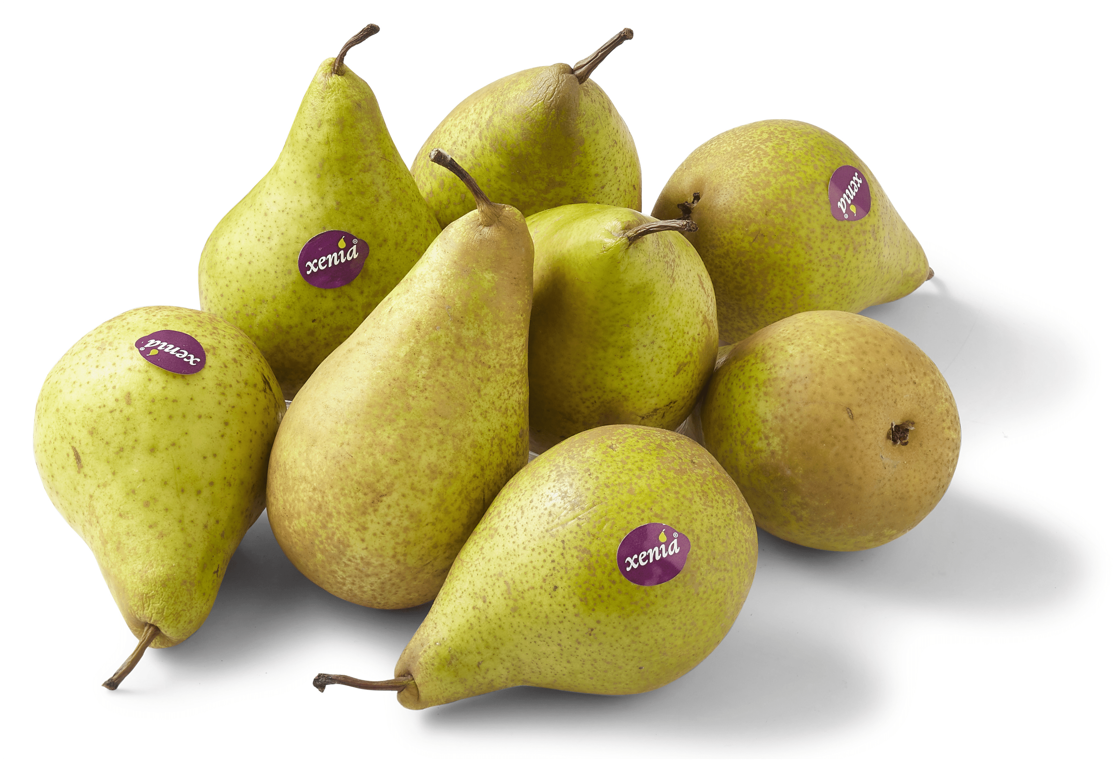 PLUS Handperen Xenia