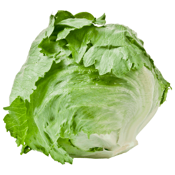 PLUS IJsbergsla krop