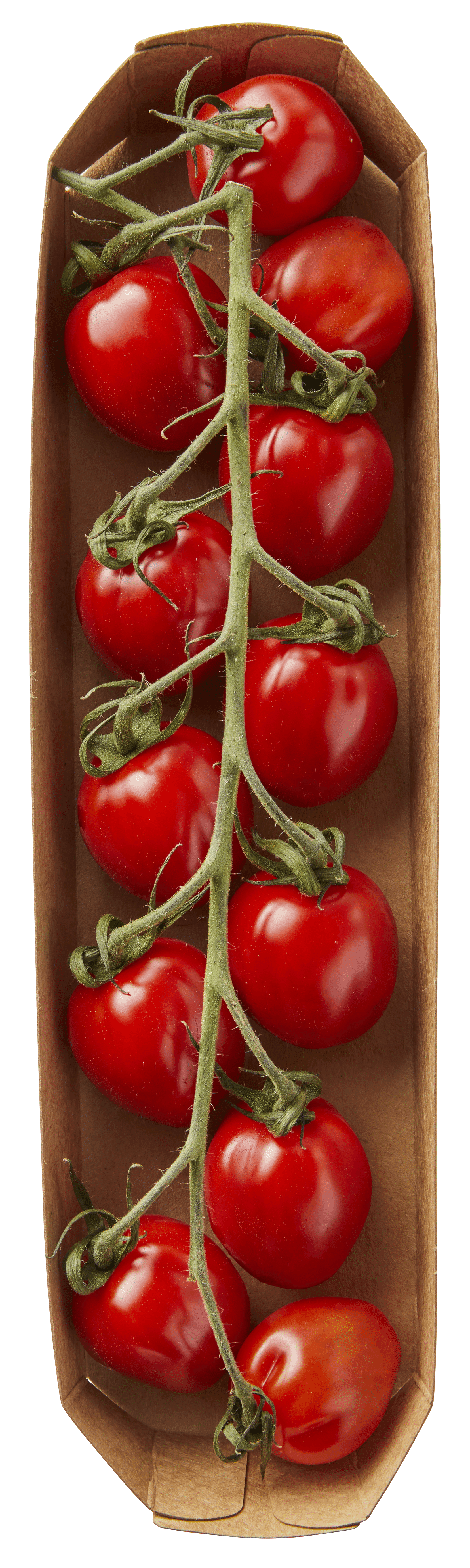 PLUS Mini trospruim tomaat