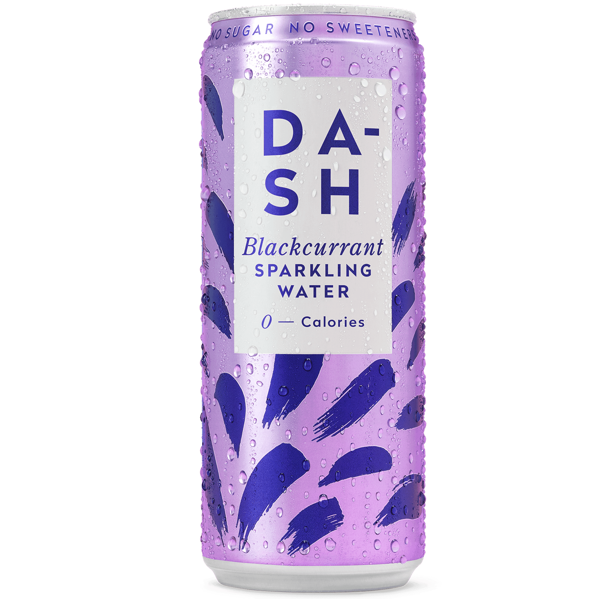 Dash Water Blackcurrant
