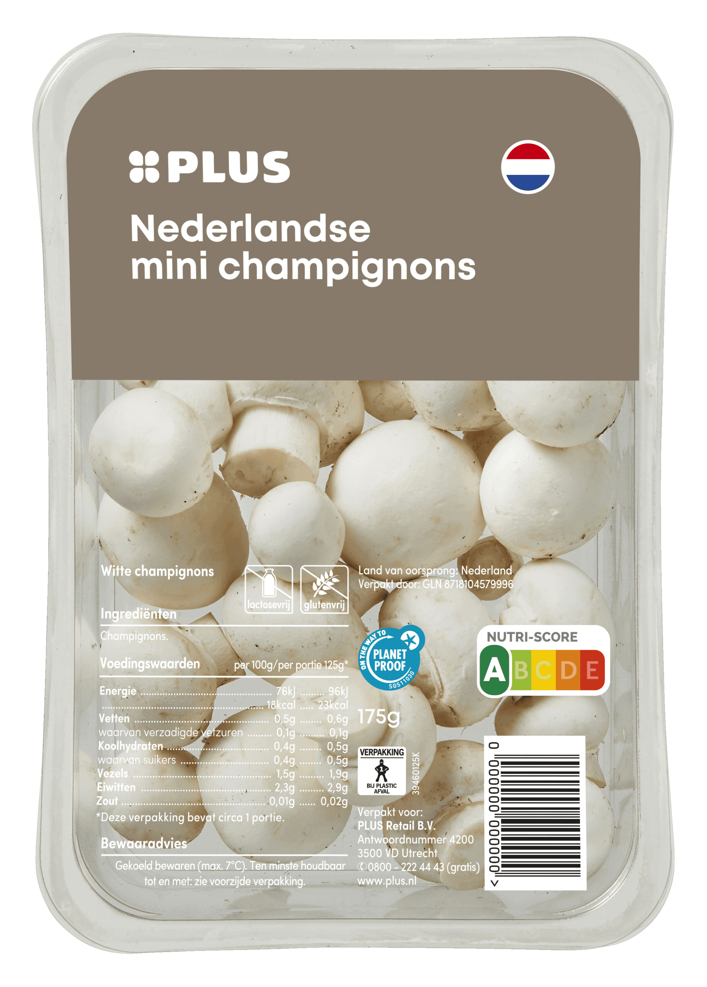 PLUS Minichampignons