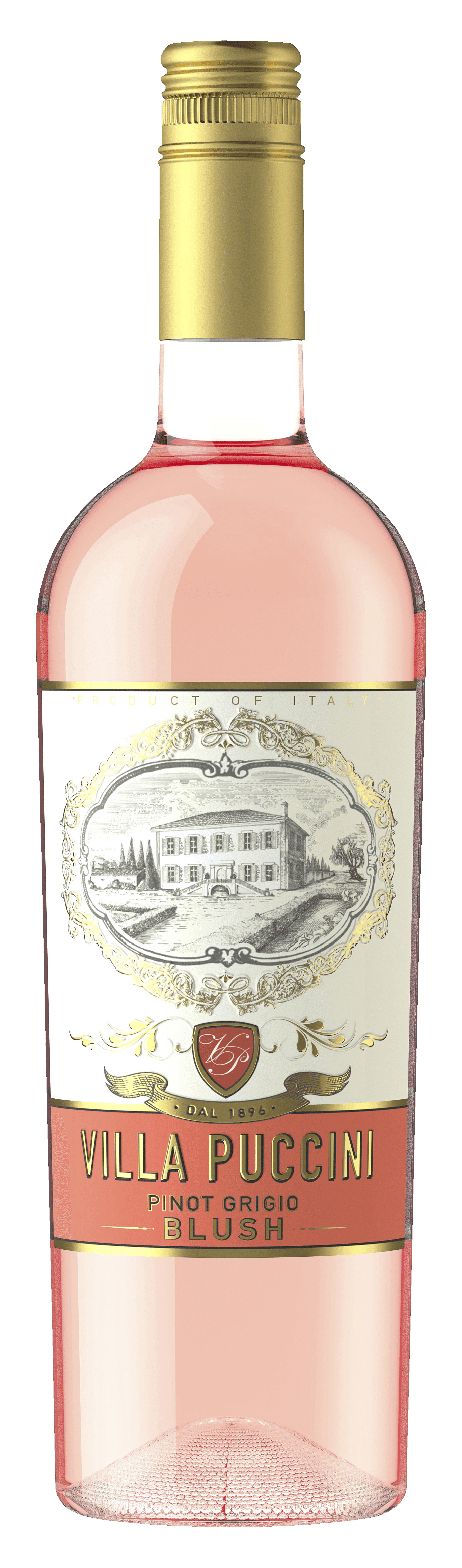 Villa Puccini Pinot Grigio Blush Rosé