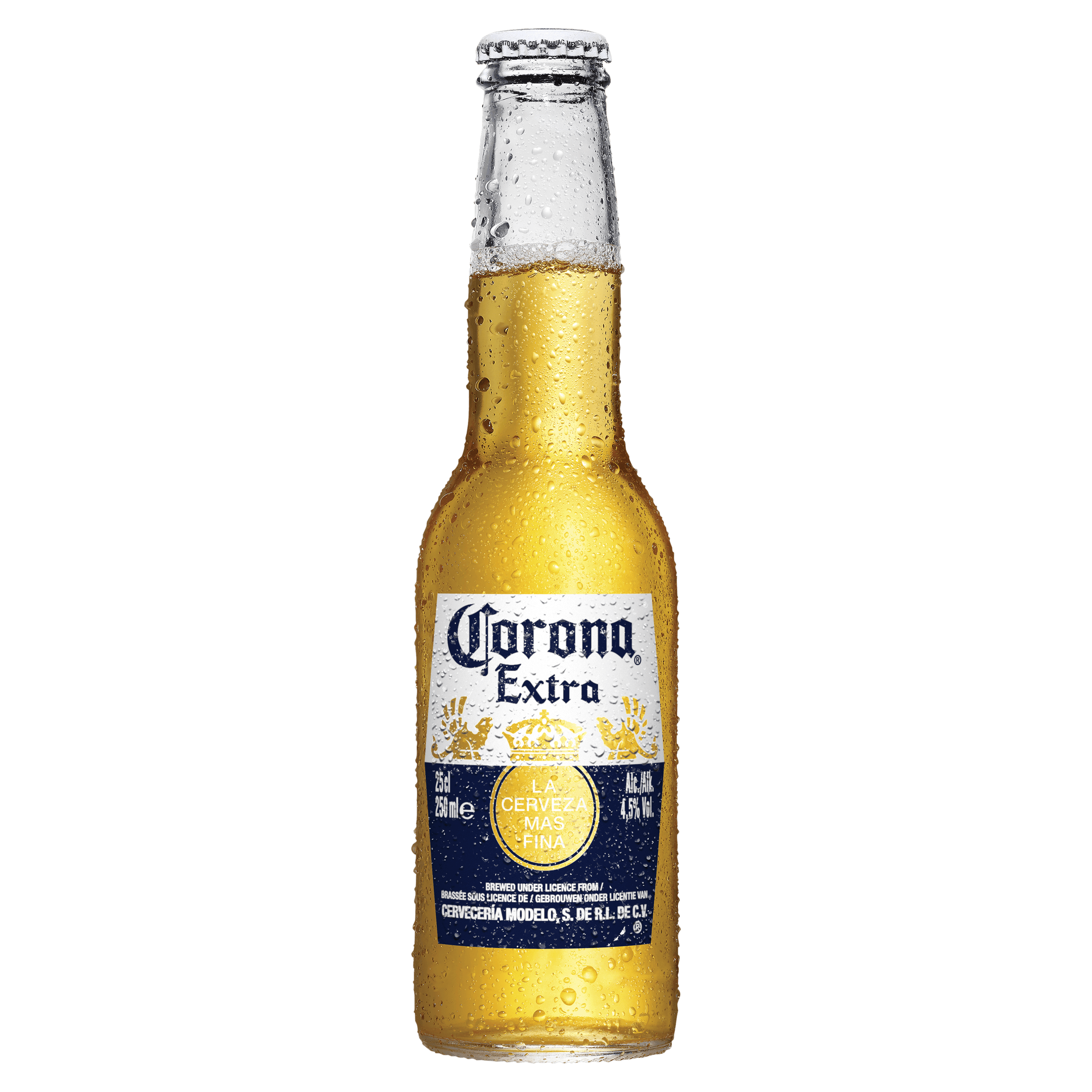 Corona Pils