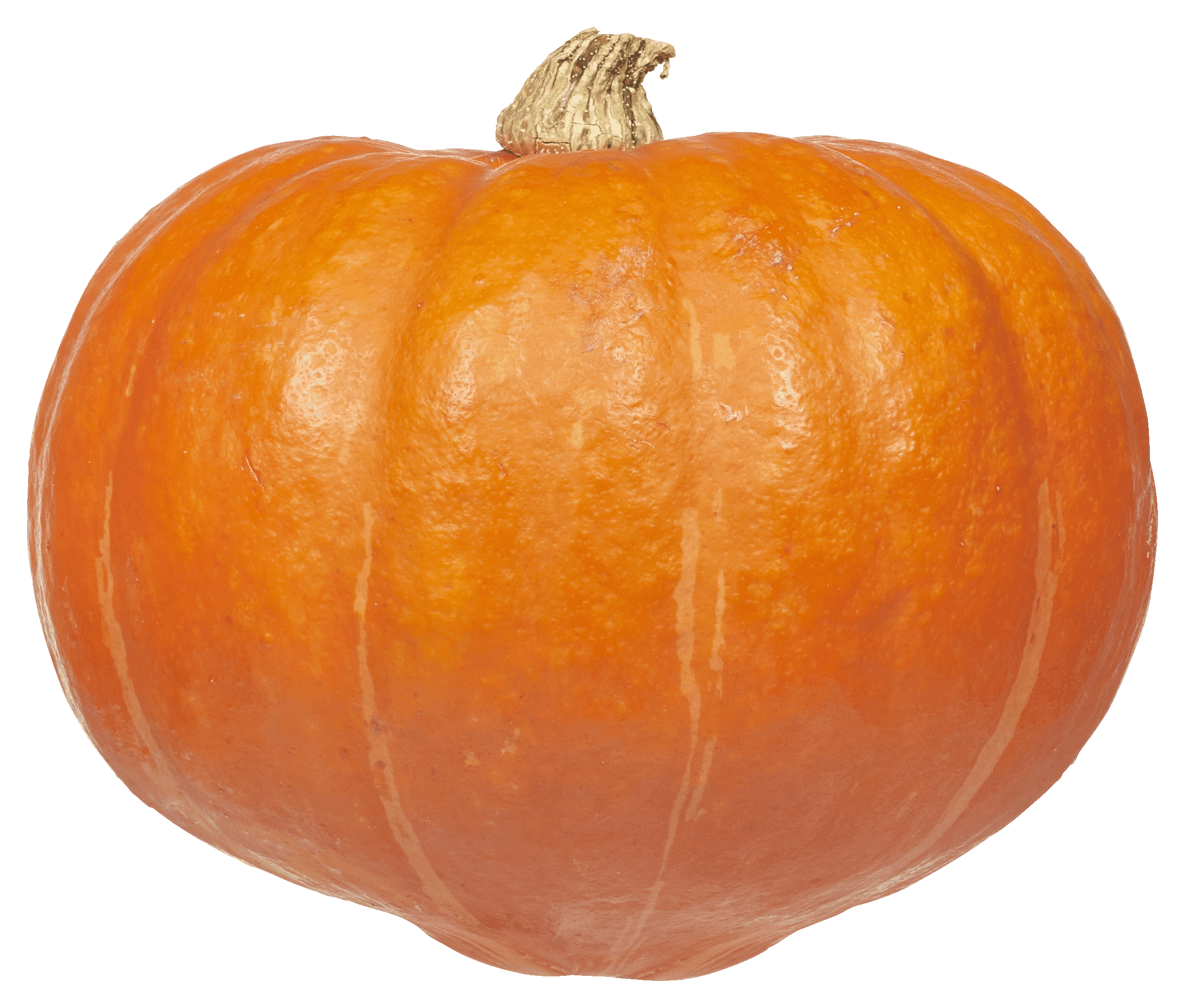 PLUS Pompoen Hokkaido