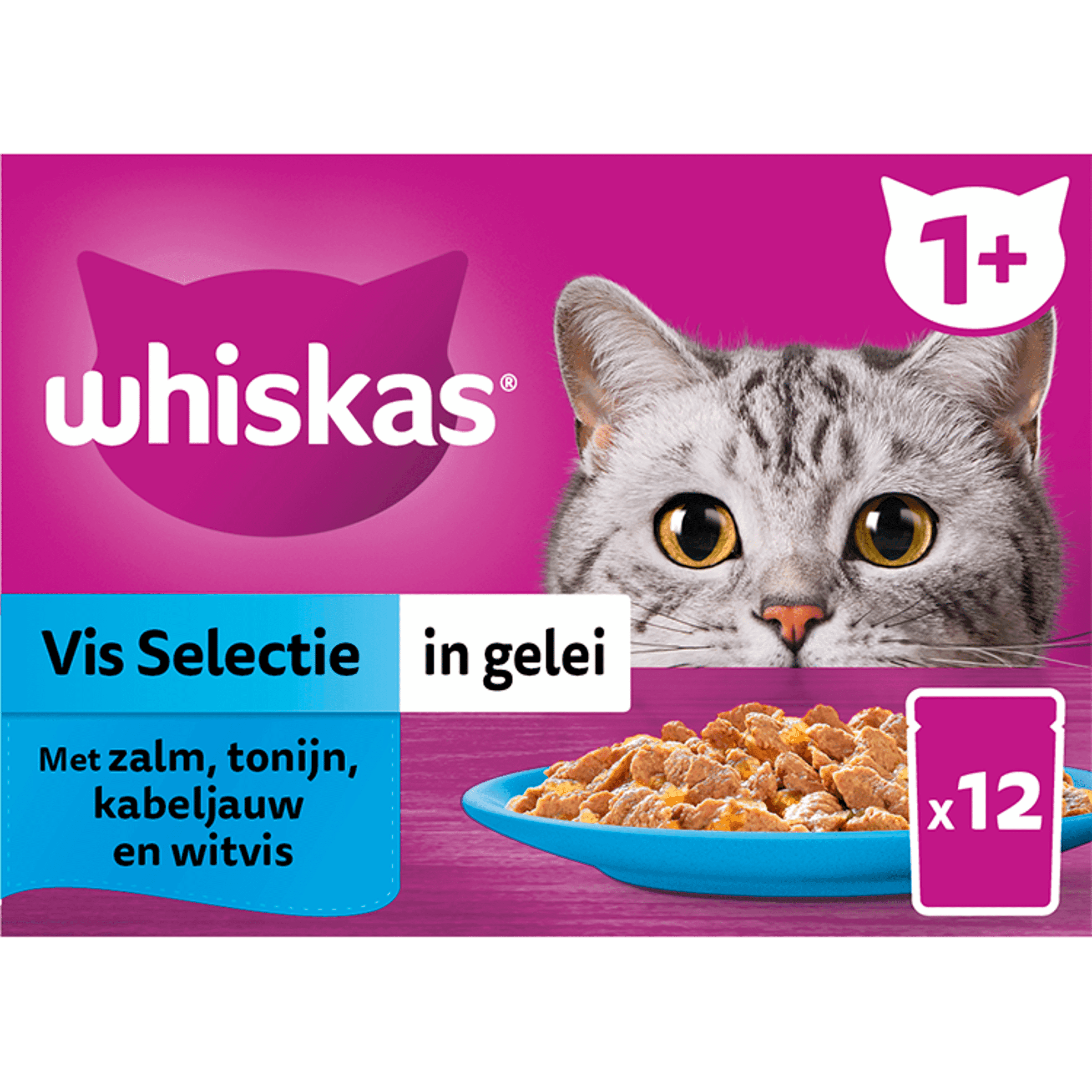 Whiskas 1+ - Kattenvoer - Vis - gelei