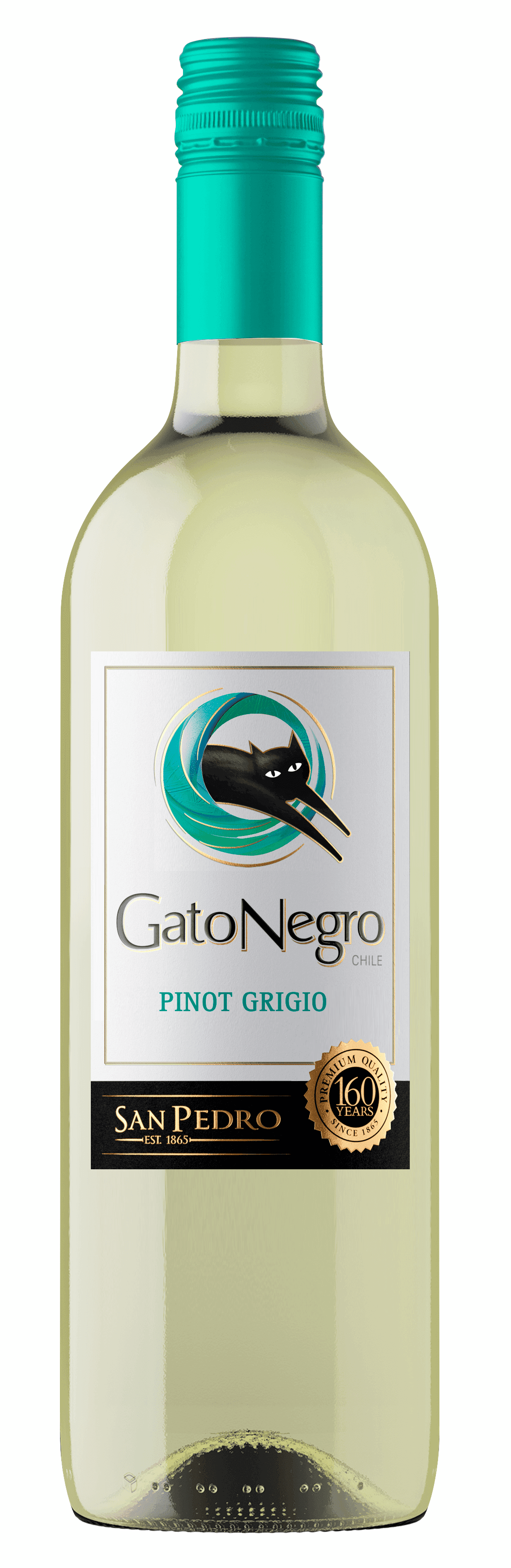 Gato Negro Pinot Grigio
