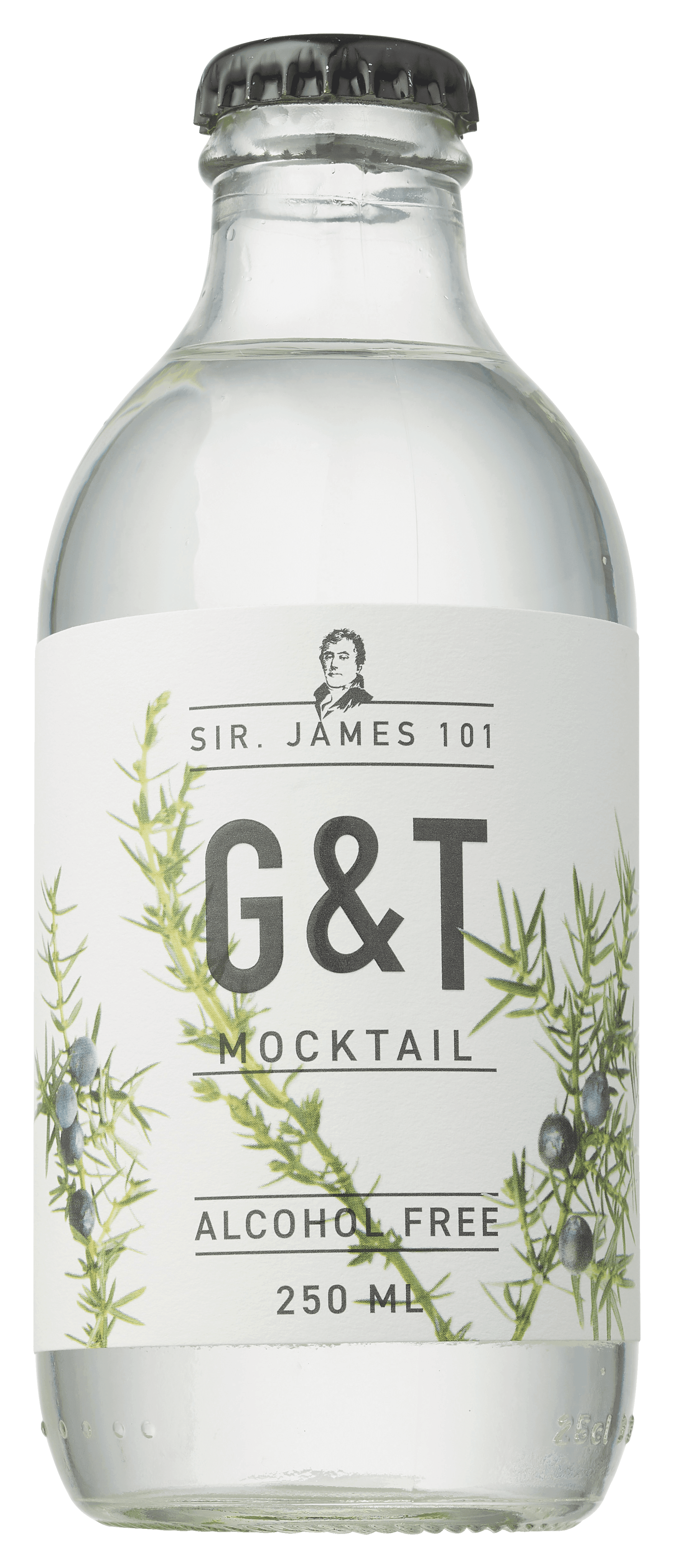 Sir James 101 Gin tonic 0%