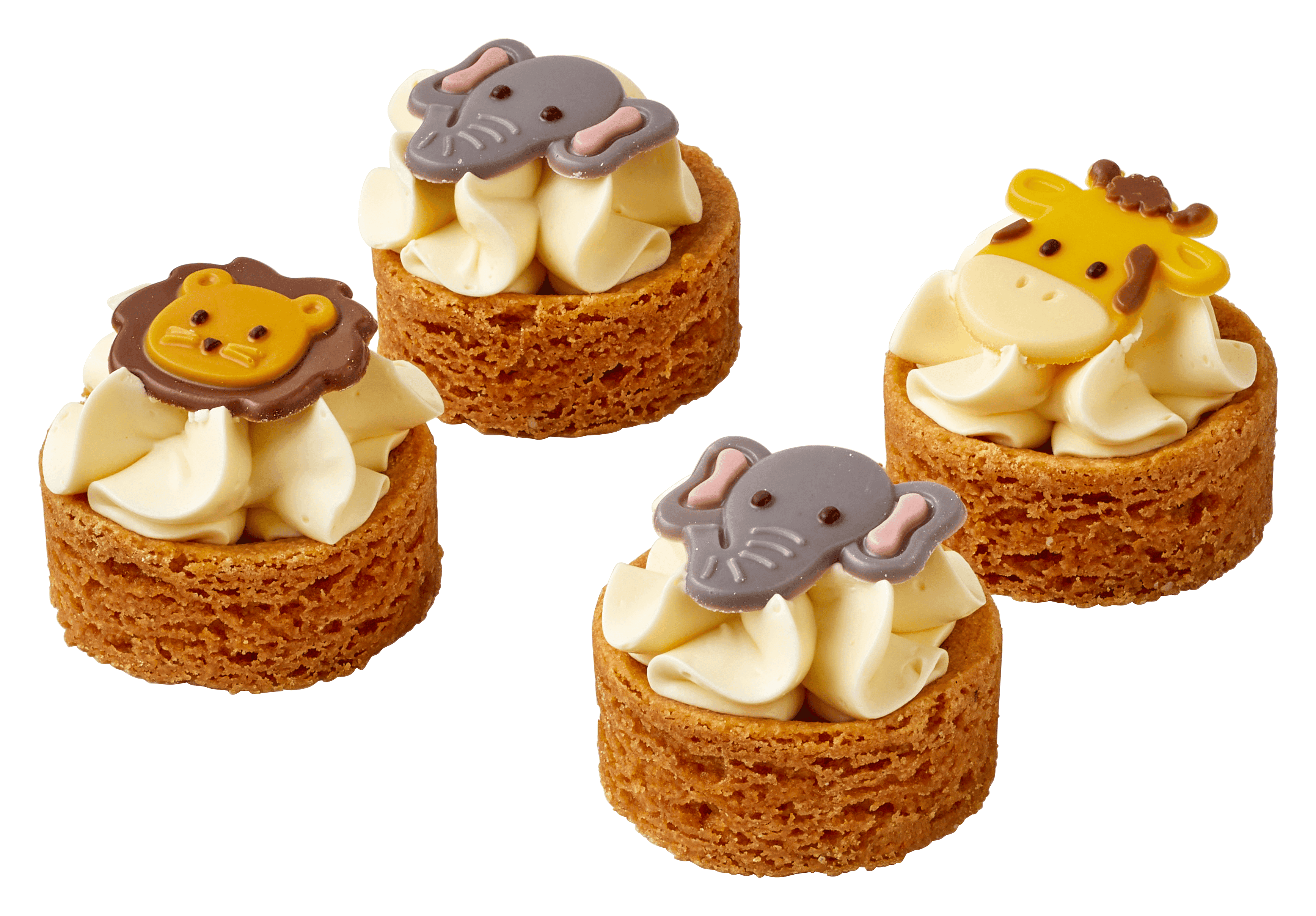 PLUS Korenlanders Mini jungle gebakjes