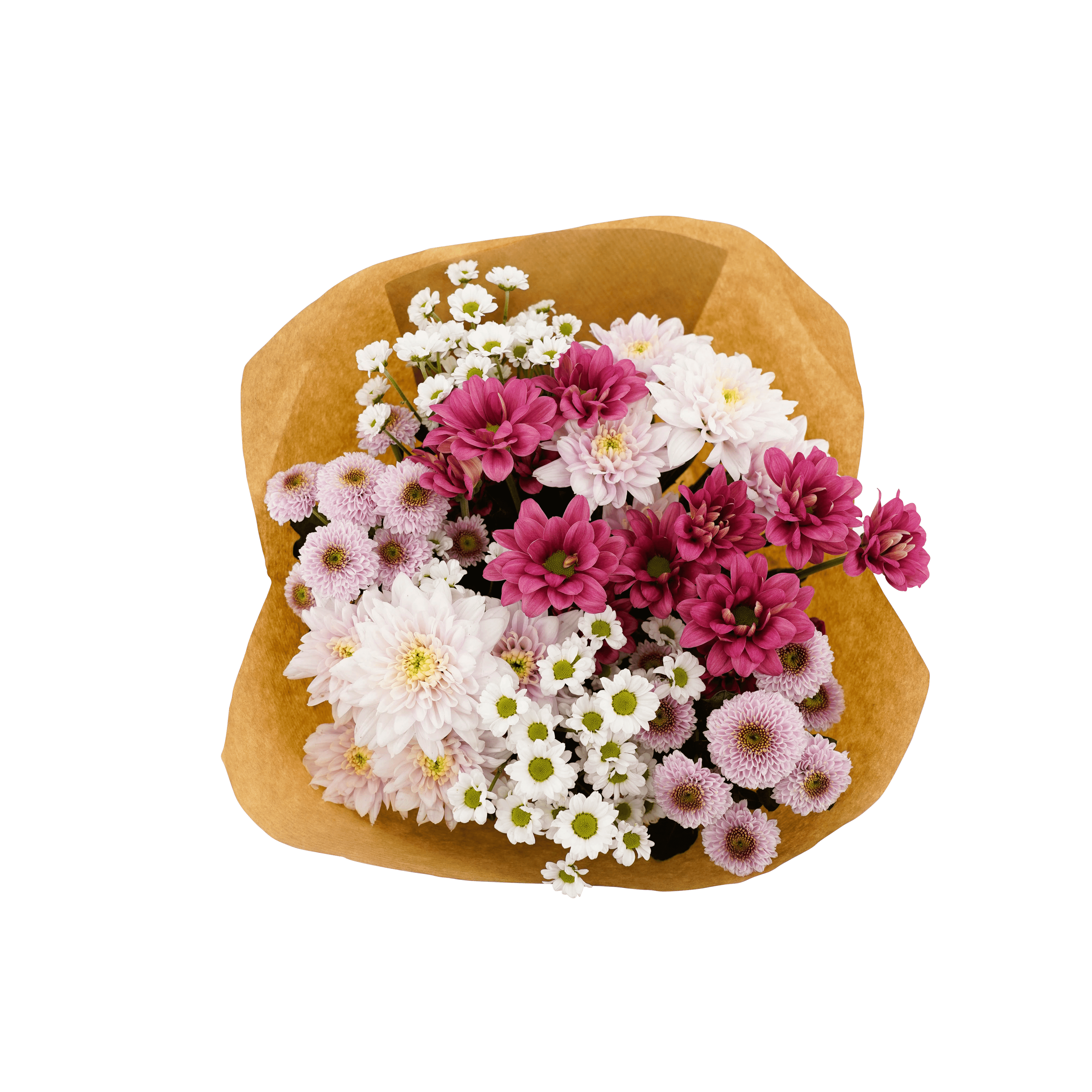 PLUS Chrysantenboeket 6.99