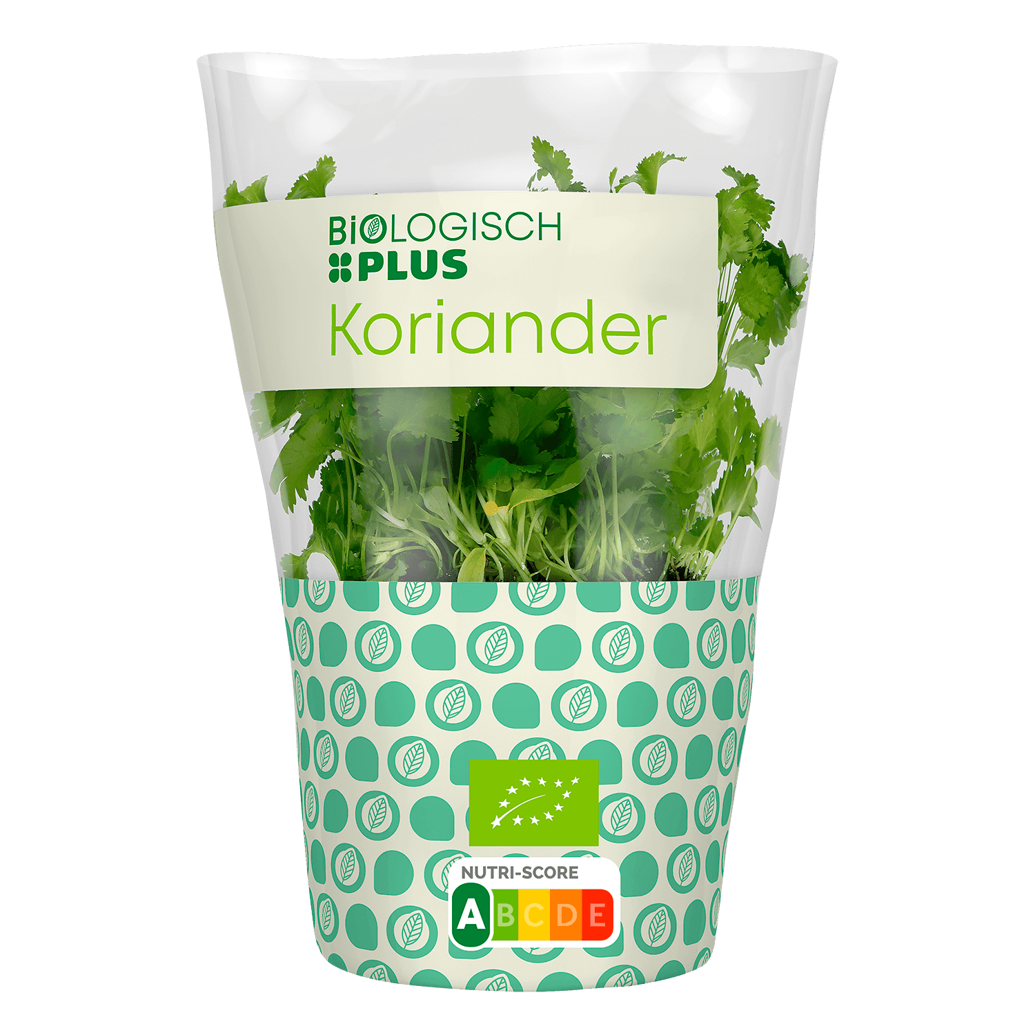 Biologisch PLUS Koriander