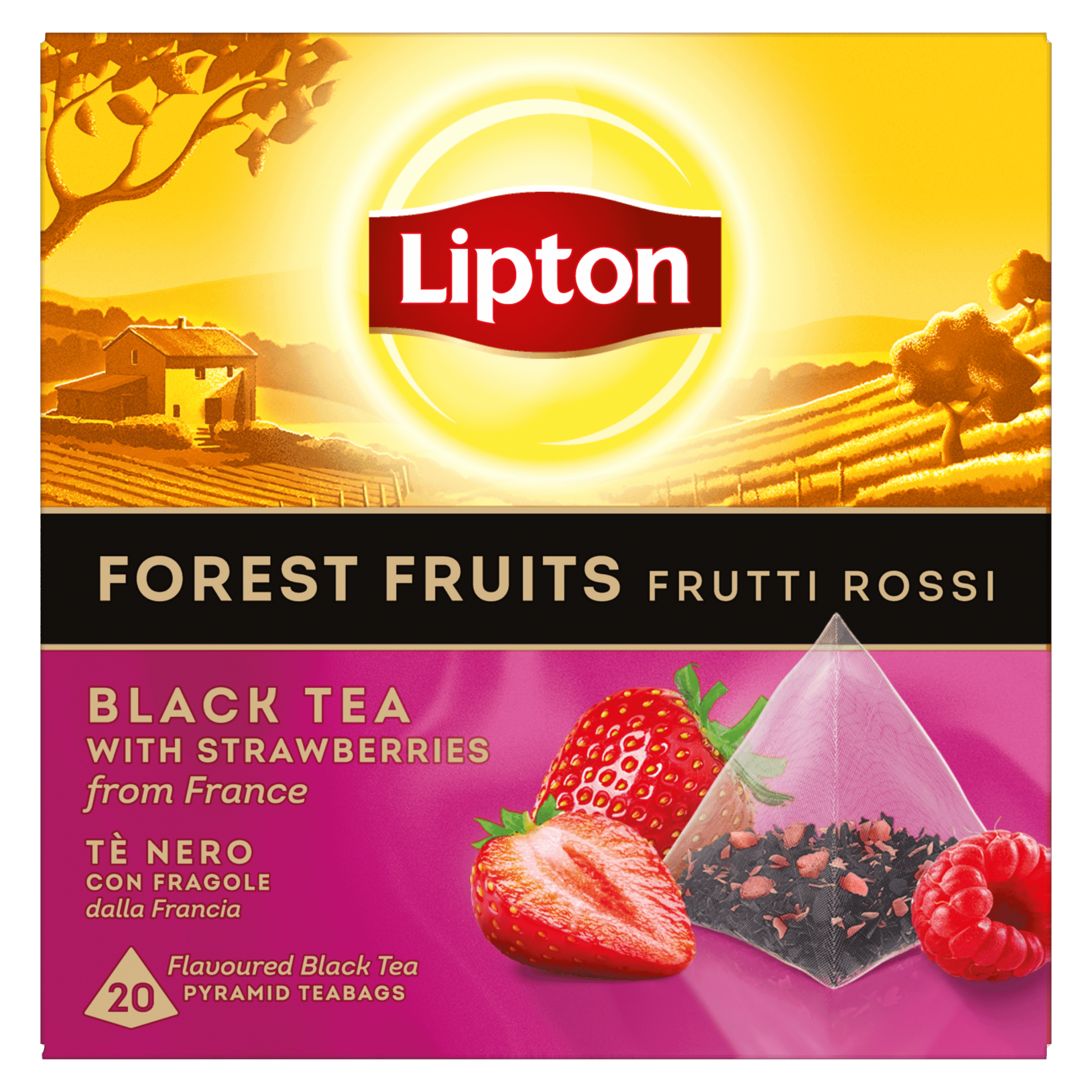 Lipton Zwarte thee Forest Fruit