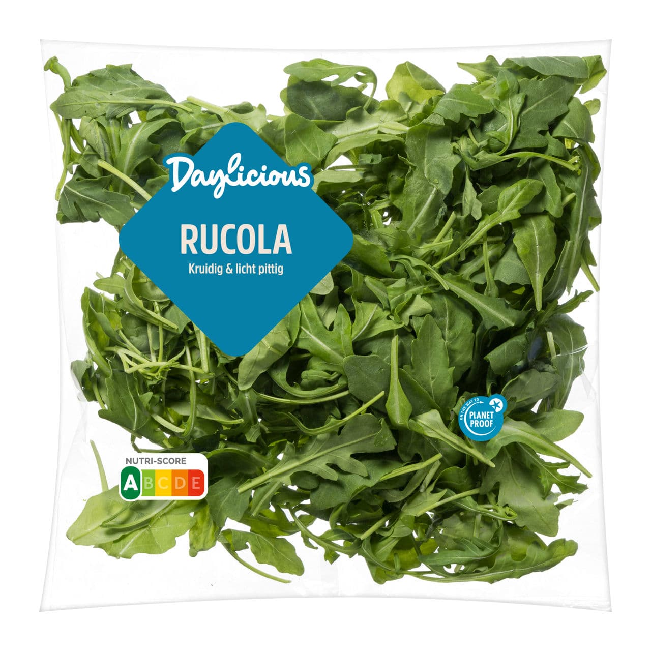 Rucola