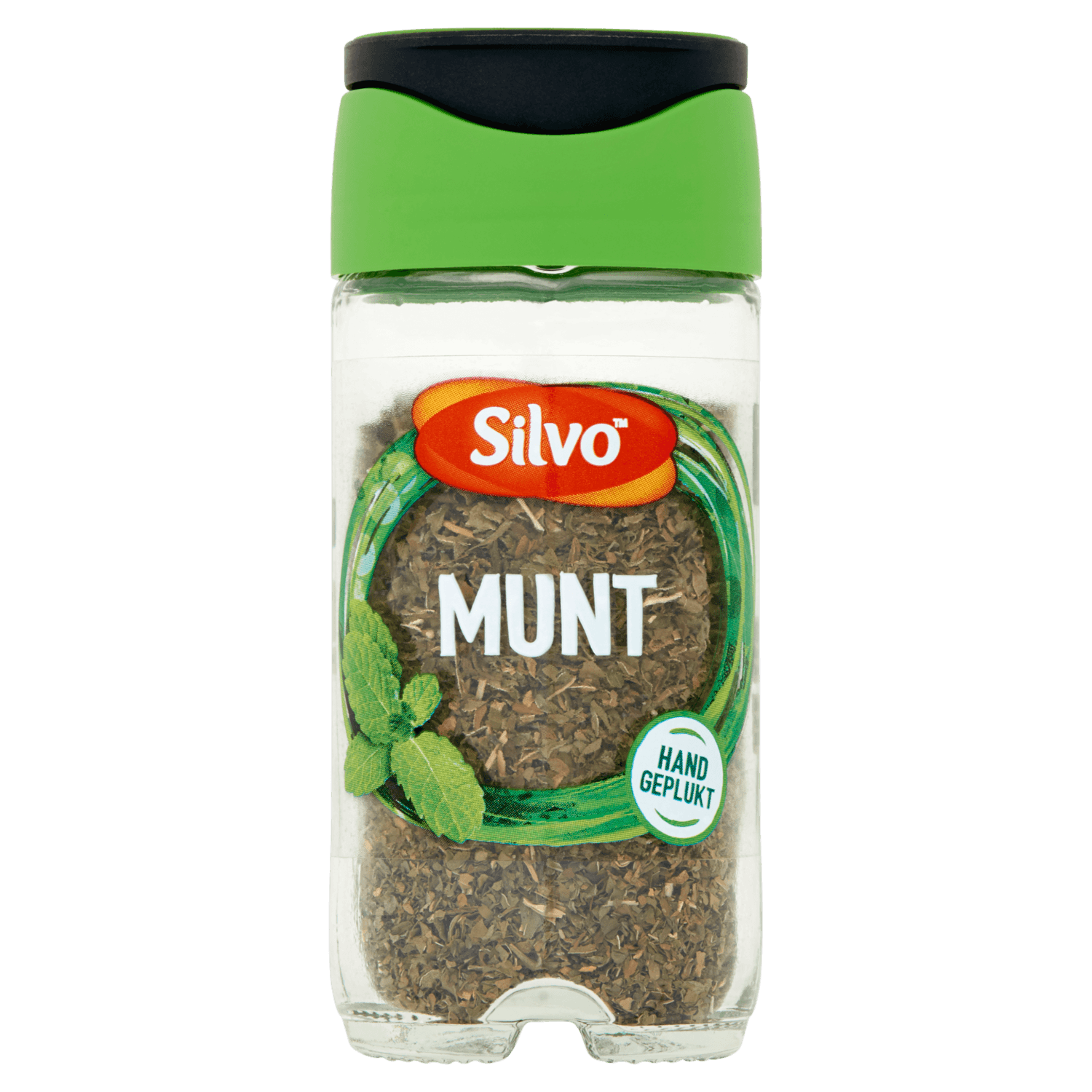 Silvo Munt
