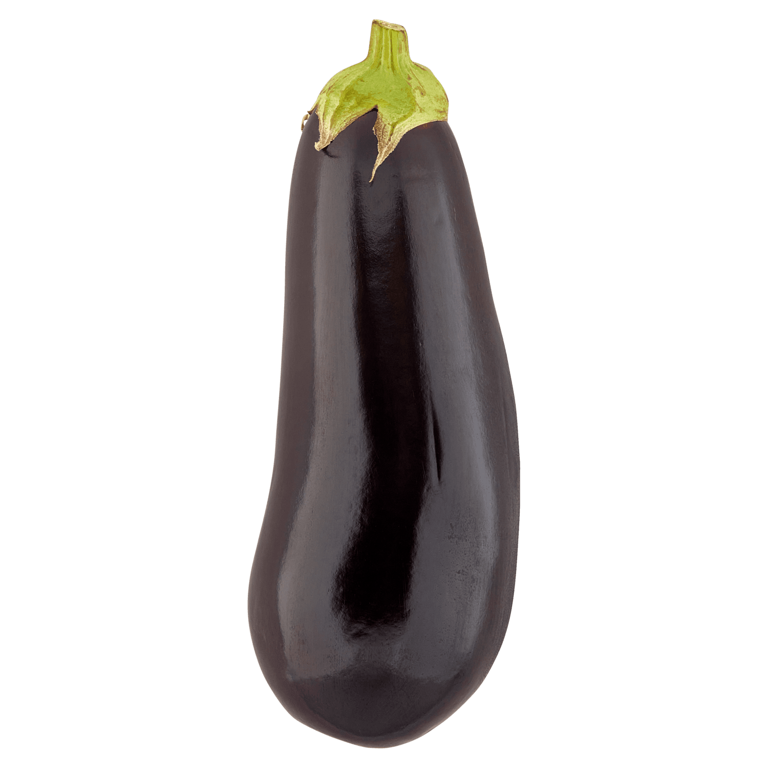 Aubergine