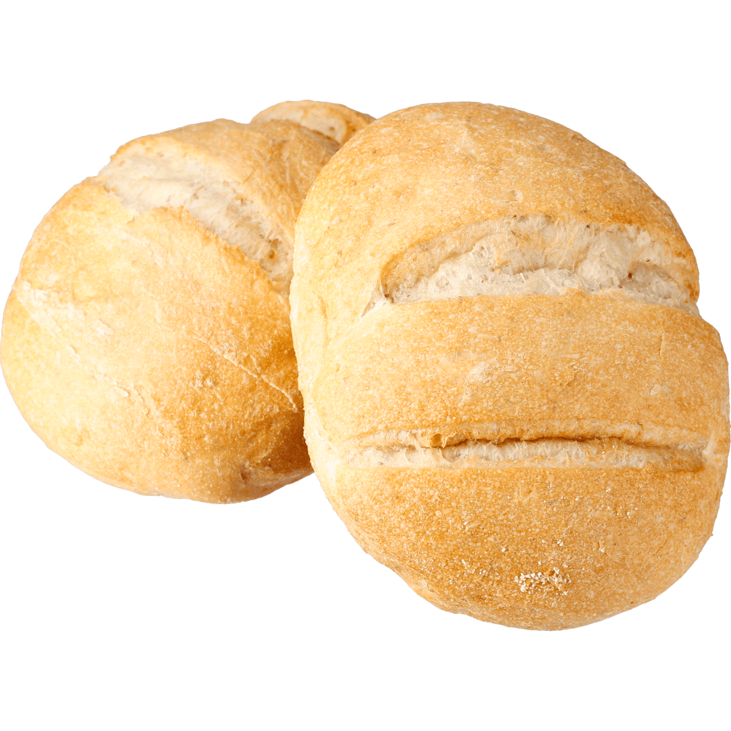 Italiaanse bol wit tarwebroodje met oregano