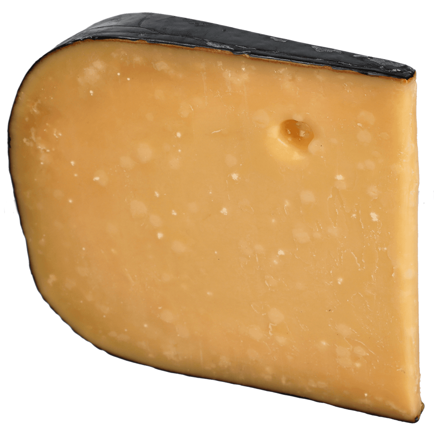 Kroon van Holland Borrelstuk overjarig