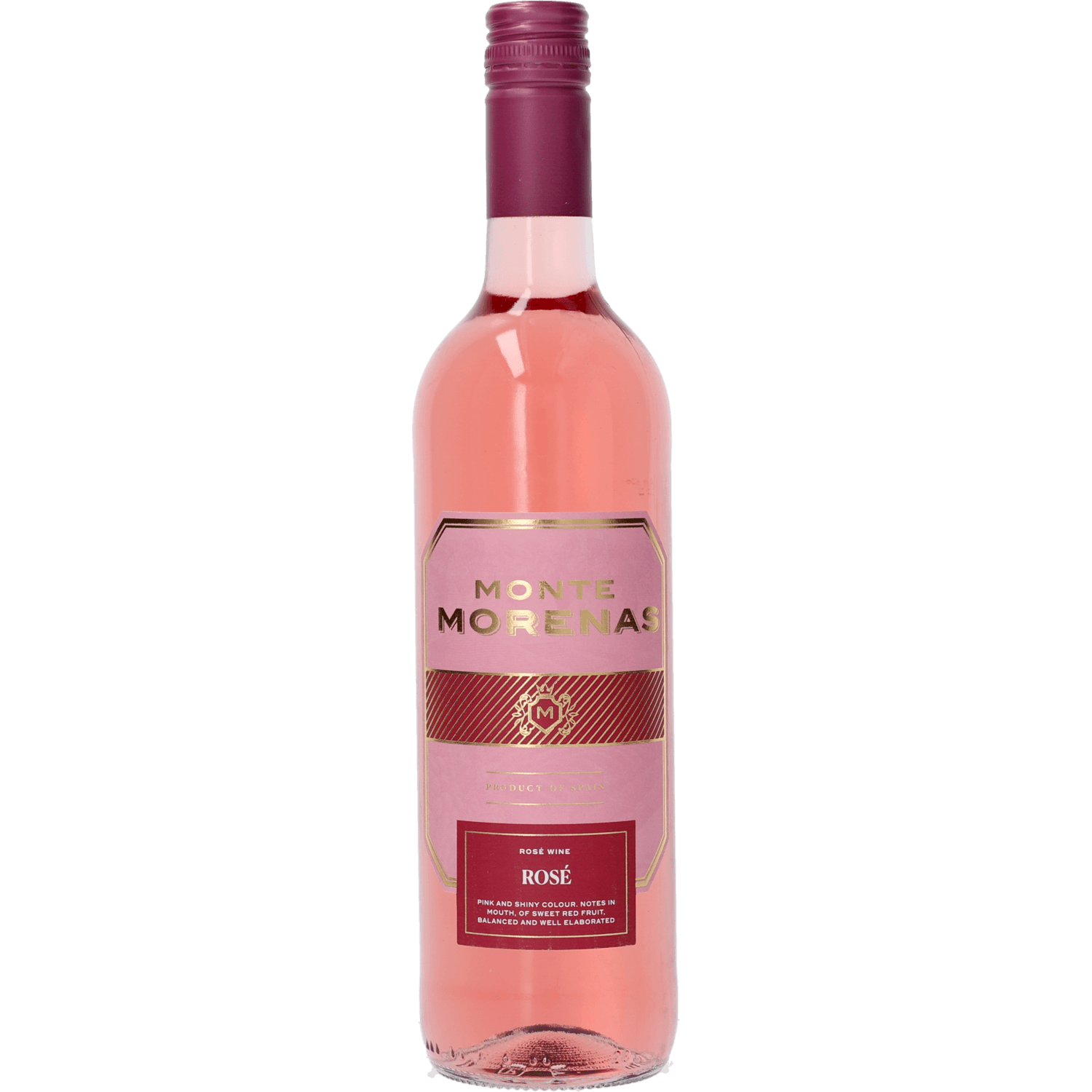 Monte Morenas rose