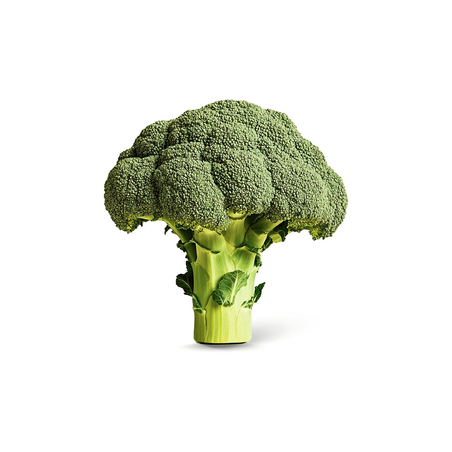 Broccoli