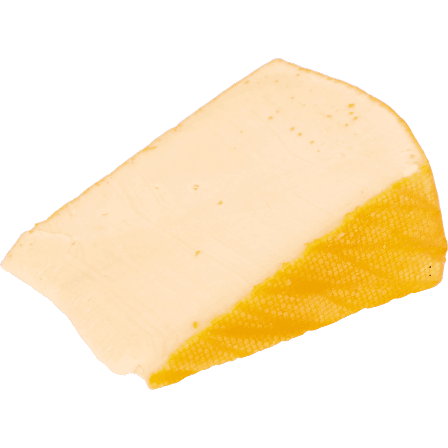 Bits & Bites Saint paulin