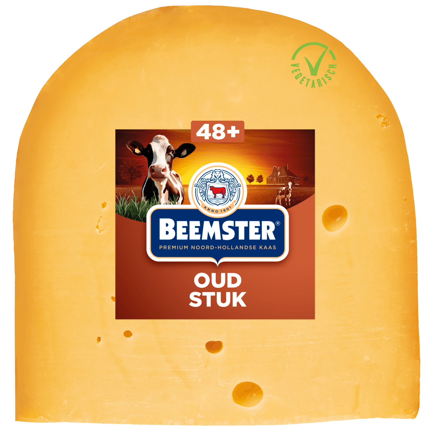 Beemster oud stuk 48+